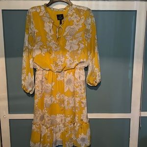 Adrianna Papell dress in size 4